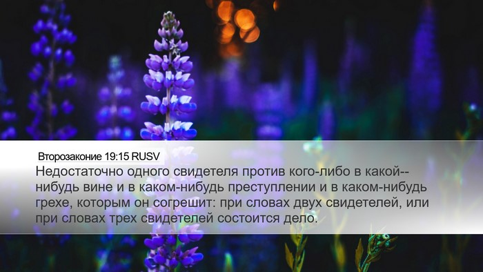 Второзаконие 19:15 RUSV Bible Verse Image