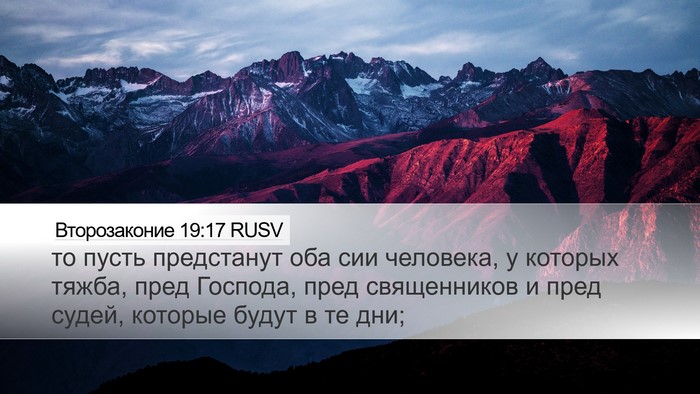 Второзаконие 19:17 RUSV Bible Verse Image