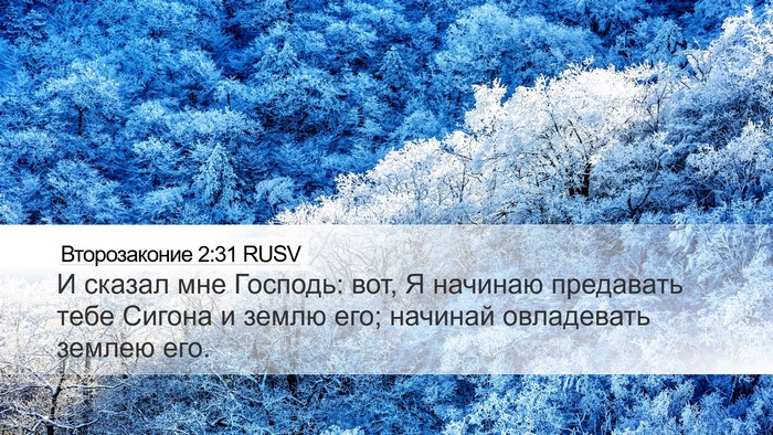 Второзаконие 2:31 RUSV Bible Verse Image