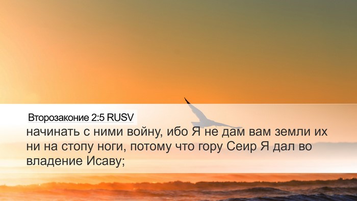 Второзаконие 2:5 RUSV Desktop Wallpaper - начинать с ними войну, ибо - Desktop Bible Verse Wallpaper