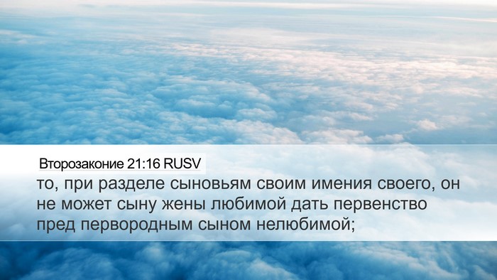Второзаконие 21:16 RUSV Bible Verse Image