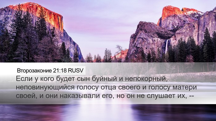 Второзаконие 21:18 RUSV Bible Verse Image