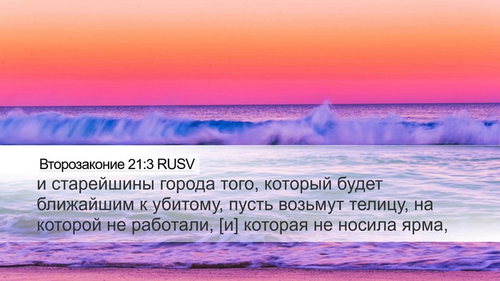 Второзаконие 21:3 RUSV Desktop Wallpaper - и старейшины города того, - Desktop Bible Verse Wallpaper