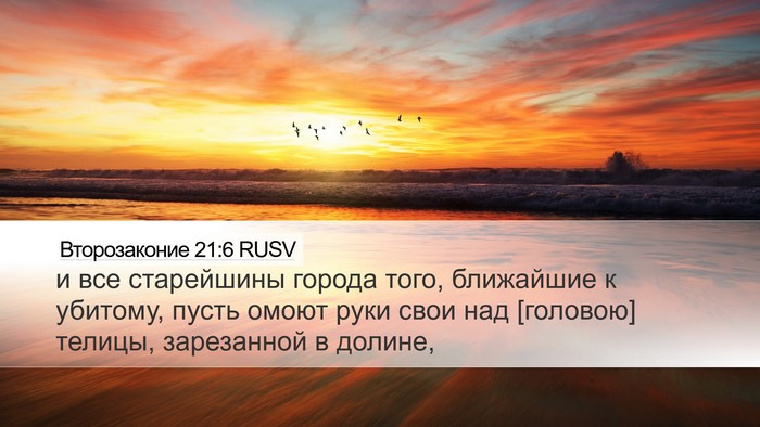 Второзаконие 21:6 RUSV Bible Verse Image
