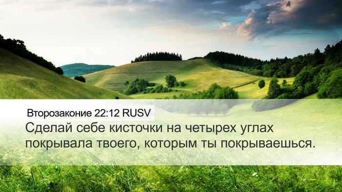 Второзаконие 22:12 RUSV Bible Verse Image