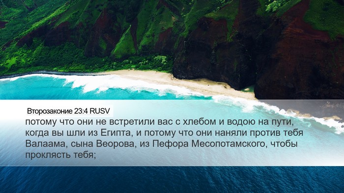 Второзаконие 23:4 RUSV Bible Verse Image