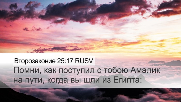 Второзаконие 25:17 RUSV Bible Verse Image