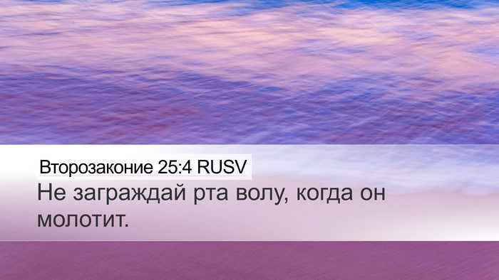 Второзаконие 25:4 RUSV Bible Verse Image