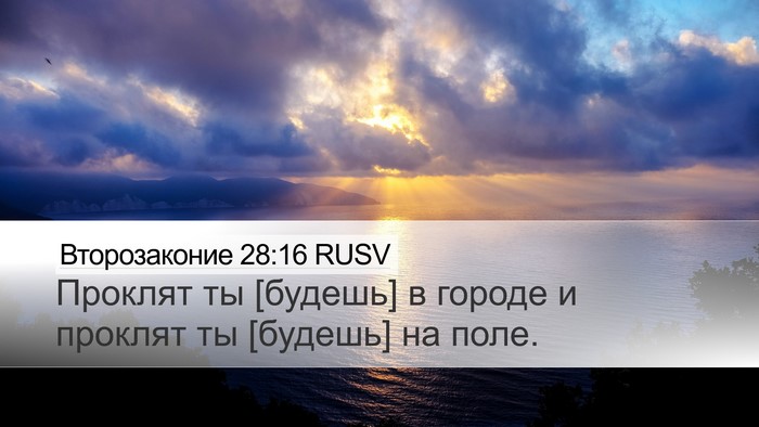 Второзаконие 28:16 RUSV Desktop Wallpaper - Проклят ты [будешь] в - Desktop Bible Verse Wallpaper