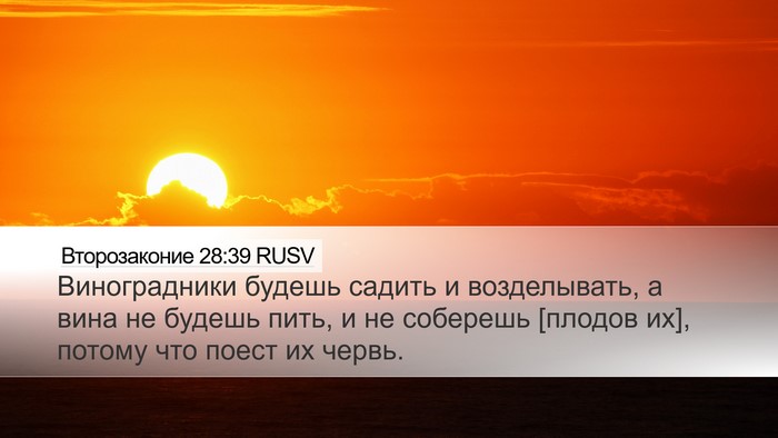 Второзаконие 28:39 RUSV Bible Verse Image
