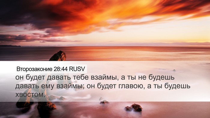 Второзаконие 28:44 RUSV Bible Verse Image