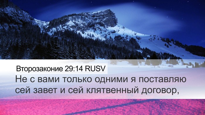 Второзаконие 29:14 RUSV Bible Verse Image
