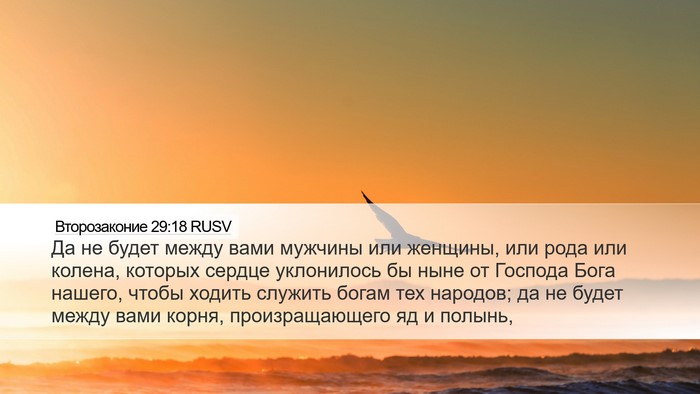 Второзаконие 29:18 RUSV Bible Verse Image