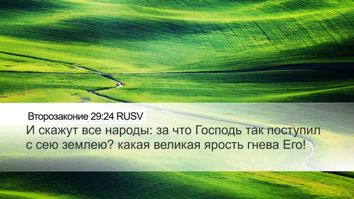 Второзаконие 29:24 RUSV Bible Verse Image