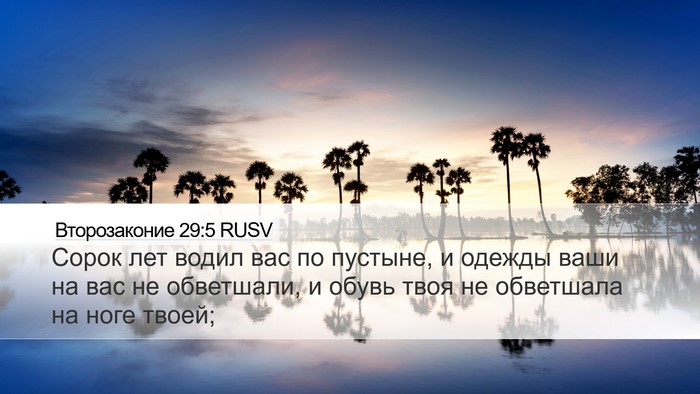 Второзаконие 29:5 RUSV Bible Verse Image