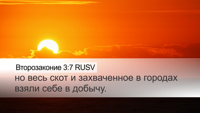 Второзаконие 3:7 RUSV Desktop Wallpaper - но весь скот и захваченное - Desktop Bible Verse Wallpaper