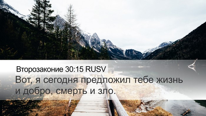 Второзаконие 30:15 RUSV Bible Verse Image