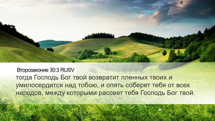 Второзаконие 30:3 RUSV Bible Verse Image
