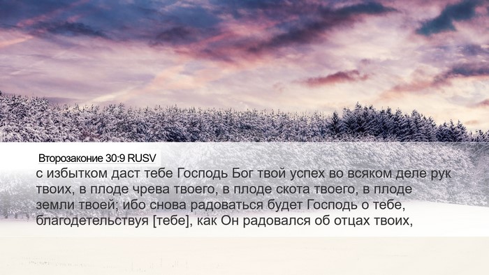 Второзаконие 30:9 RUSV Bible Verse Image