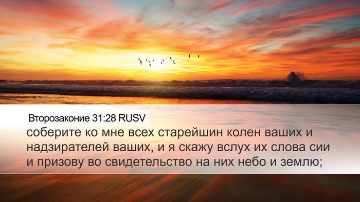 Второзаконие 31:28 RUSV Bible Verse Image