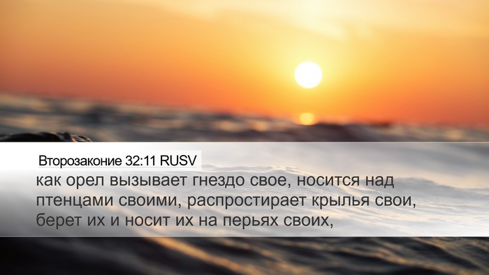 Второзаконие 32:11 RUSV Bible Verse Image