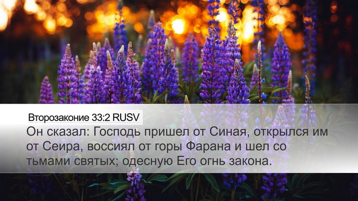 Второзаконие 33:2 RUSV Bible Verse Image