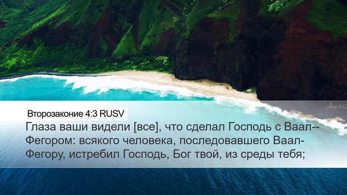 Второзаконие 4:3 RUSV Bible Verse Image