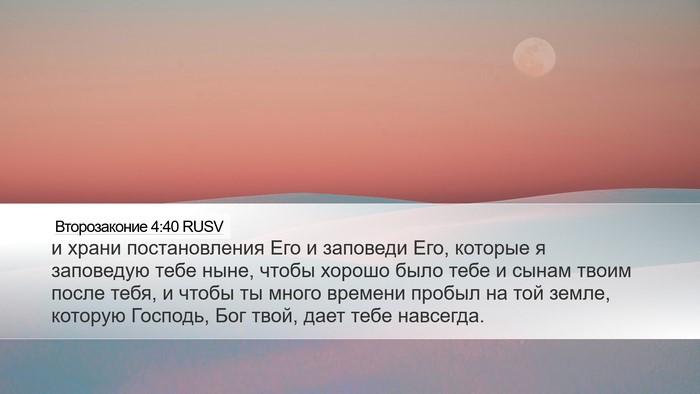 Второзаконие 4:40 RUSV Bible Verse Image