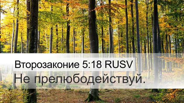 Второзаконие 5:18 RUSV Bible Verse Image