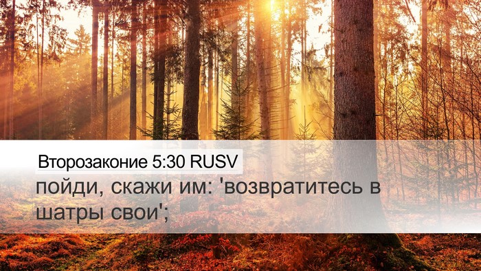 Второзаконие 5:30 RUSV Desktop Wallpaper - пойди, скажи им: - Desktop Bible Verse Wallpaper