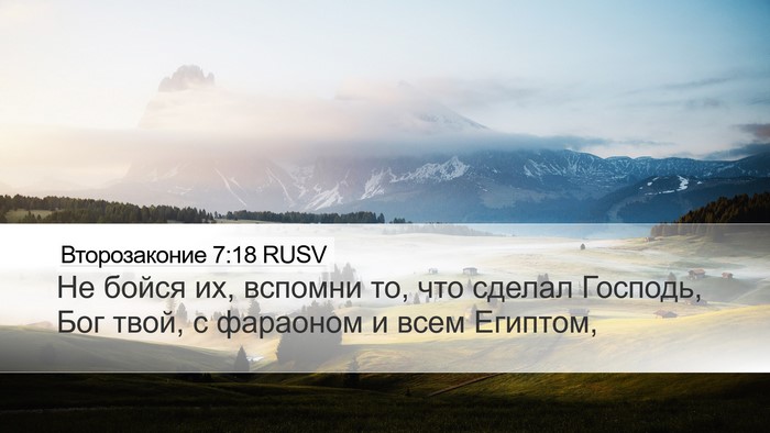 Второзаконие 7:18 RUSV Desktop Wallpaper - Не бойся их, вспомни то, что - Desktop Bible Verse Wallpaper