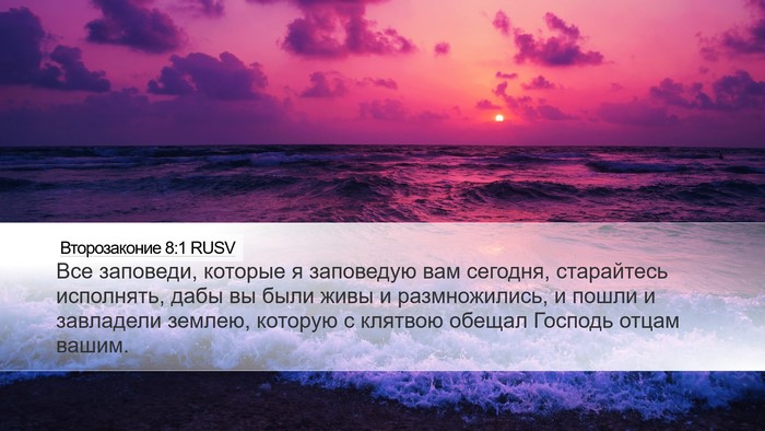 Второзаконие 8:1 RUSV Bible Verse Image