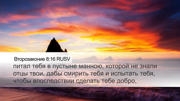 Второзаконие 8:16 RUSV Bible Verse Image