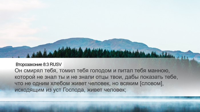 Второзаконие 8:3 RUSV Bible Verse Image