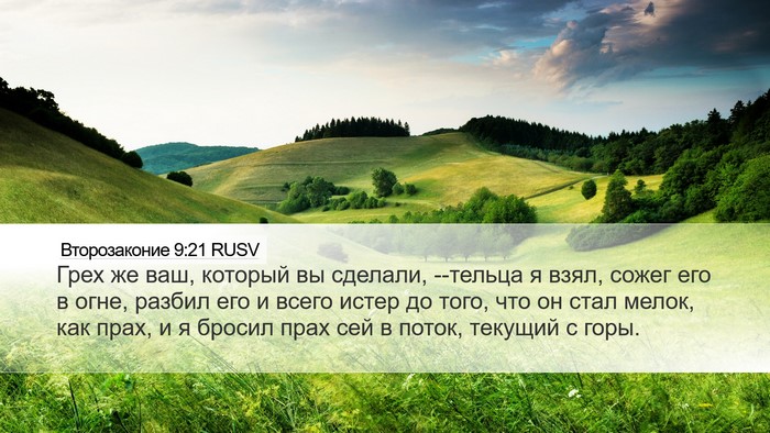Второзаконие 9:21 RUSV Bible Verse Image