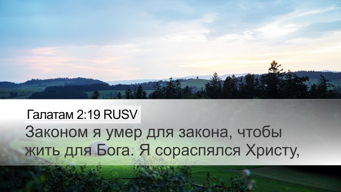 Галатам 2:19 RUSV Bible Verse Image