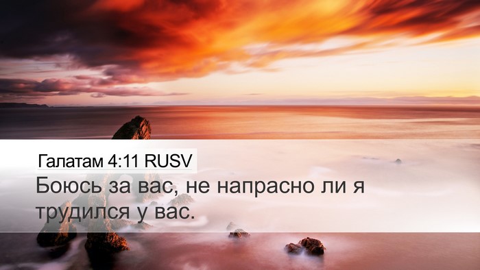 Галатам 4:11 RUSV Bible Verse Image