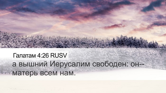Галатам 4:26 RUSV Bible Verse Image
