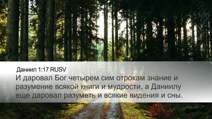Даниил 1:17 RUSV Bible Verse Image