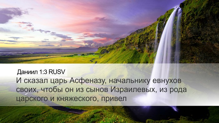 Даниил 1:3 RUSV Desktop Wallpaper - И сказал царь Асфеназу, - Desktop Bible Verse Wallpaper