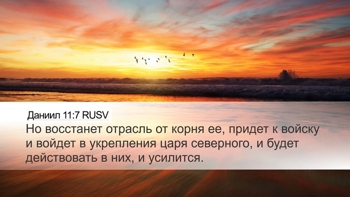 Даниил 11:7 RUSV Bible Verse Image