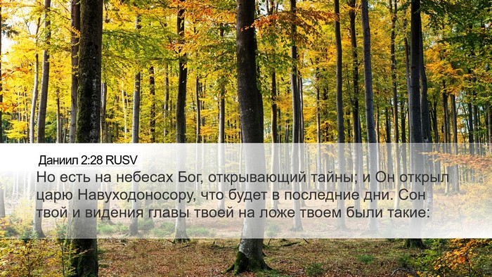 Даниил 2:28 RUSV Bible Verse Image