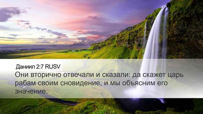 Даниил 2:7 RUSV Bible Verse Image