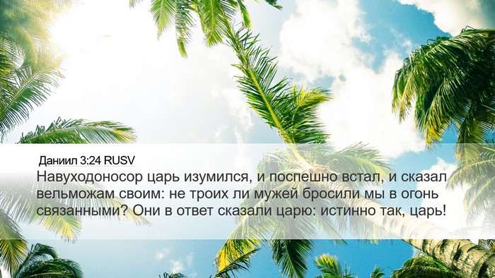 Даниил 3:24 RUSV Desktop Wallpaper - Навуходоносор царь - Desktop Bible Verse Wallpaper