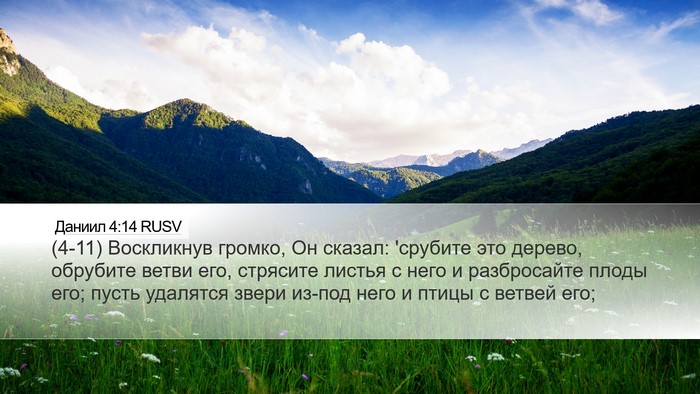 Даниил 4:14 RUSV Bible Verse Image
