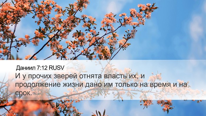 Даниил 7:12 RUSV Desktop Wallpaper - И у прочих зверей отнята - Desktop Bible Verse Wallpaper