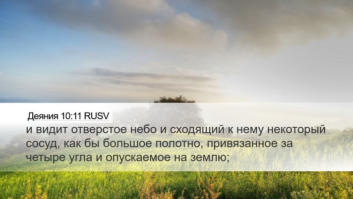 Деяния 10:11 RUSV Bible Verse Image