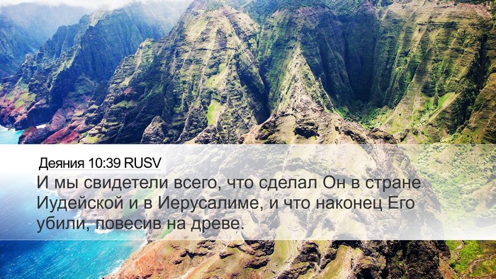 Деяния 10:39 RUSV Bible Verse Image