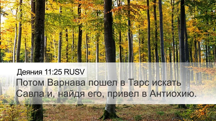 Деяния 11:25 RUSV Bible Verse Image