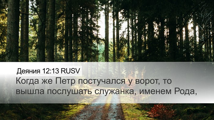 Деяния 12:13 RUSV Bible Verse Image